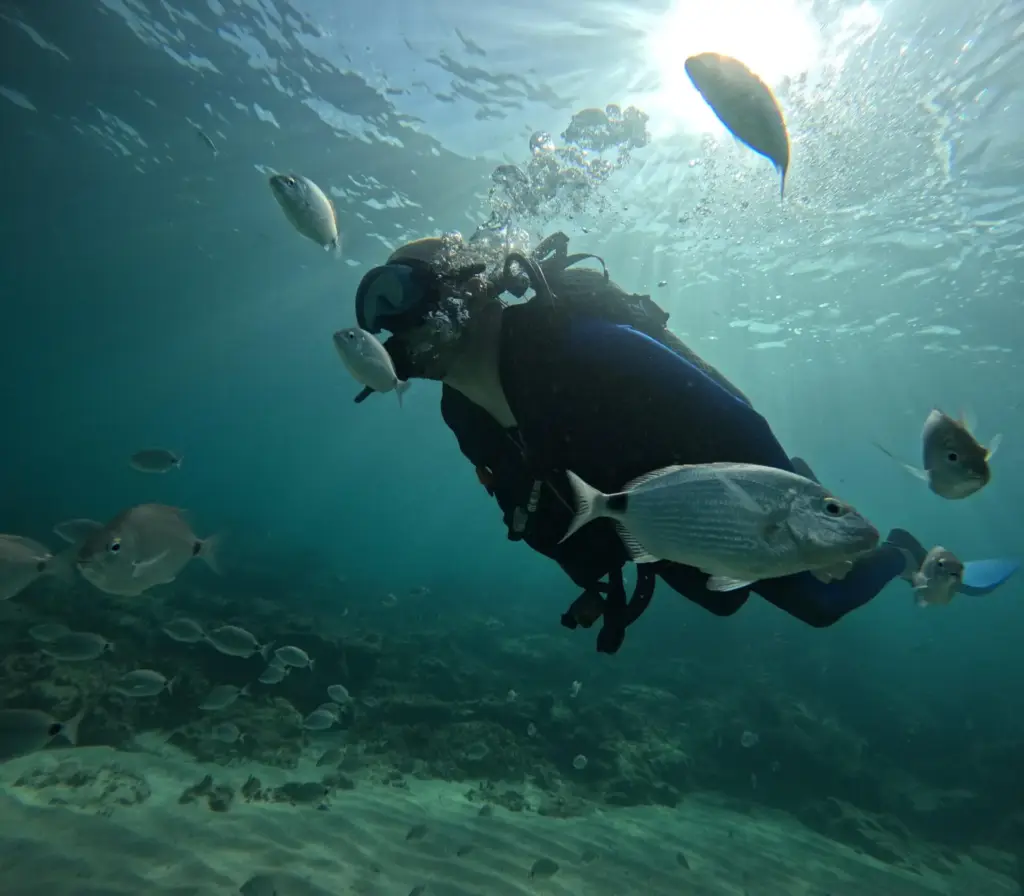 sirene-plongee-djerba-sidi-yeti